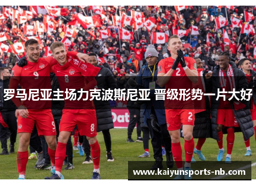 罗马尼亚主场力克波斯尼亚 晋级形势一片大好