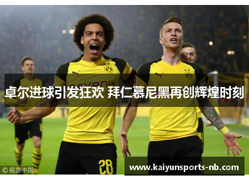 卓尔进球引发狂欢 拜仁慕尼黑再创辉煌时刻