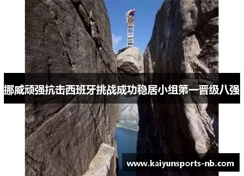 挪威顽强抗击西班牙挑战成功稳居小组第一晋级八强