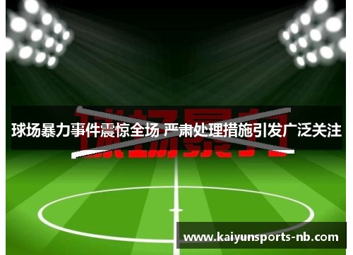 球场暴力事件震惊全场 严肃处理措施引发广泛关注
