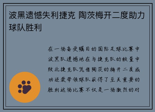 波黑遗憾失利捷克 陶茨梅开二度助力球队胜利