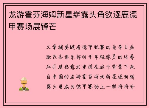 龙游霍芬海姆新星崭露头角欲逐鹿德甲赛场展锋芒