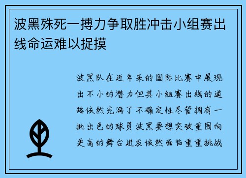 波黑殊死一搏力争取胜冲击小组赛出线命运难以捉摸